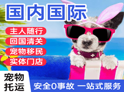 启阳航空空运国际宠物托运 【国
